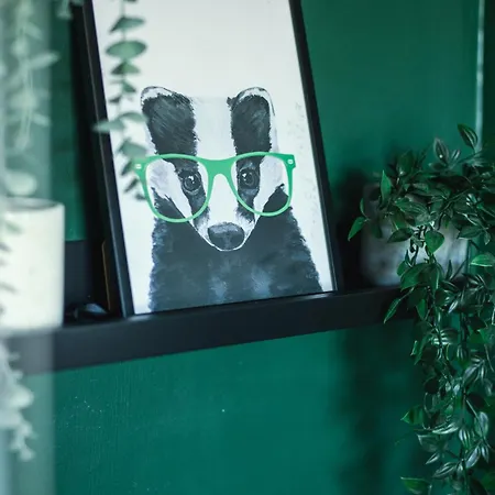 With Airhgt At 3 Bedroom House Near The Stray *