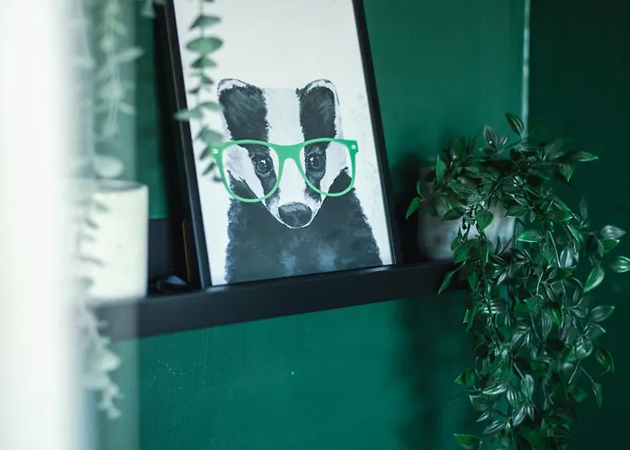 With Airhgt At 3 Bedroom House Near The Stray *